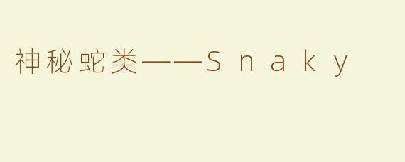 神秘蛇类——Snaky