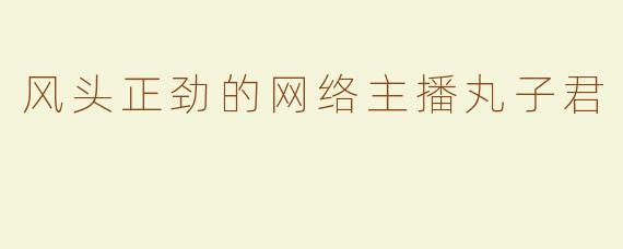 风头正劲的网络主播丸子君