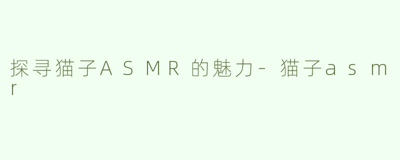 探寻猫子ASMR的魅力