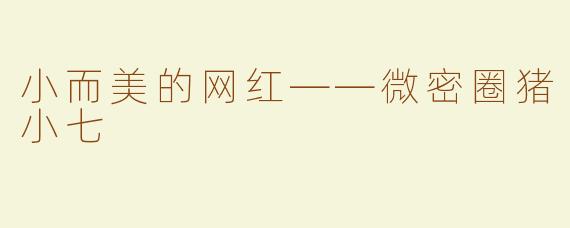 小而美的网红——微密圈猪小七
