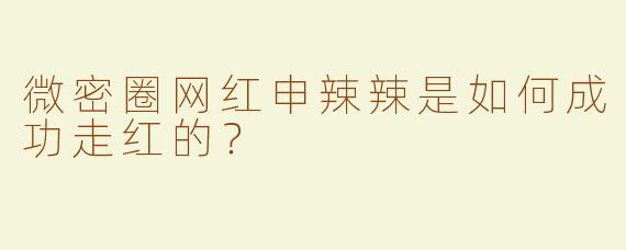 微密圈网红申辣辣是如何成功走红的？