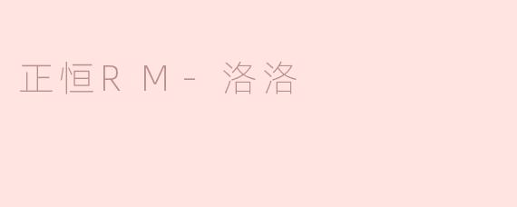 正恒RM-洛洛