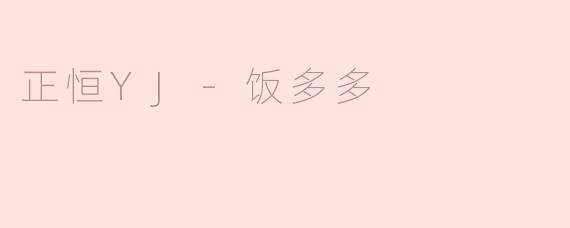 正恒YJ-饭多多