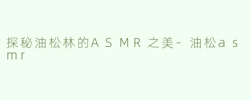 探秘油松林的ASMR之美-油松asmr