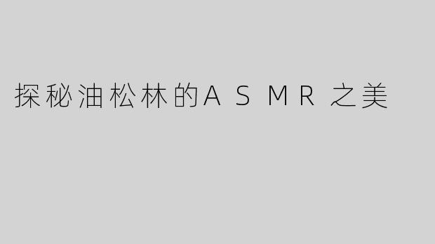 探秘油松林的ASMR之美
