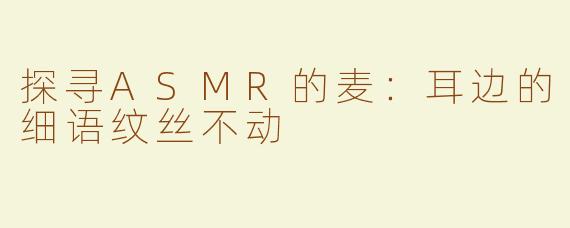 探寻ASMR的麦：耳边的细语纹丝不动