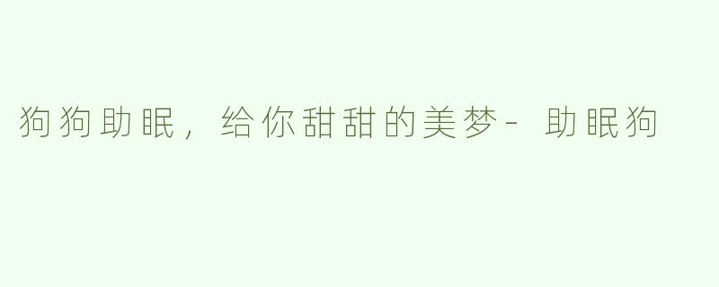 狗狗助眠，给你甜甜的美梦-助眠狗