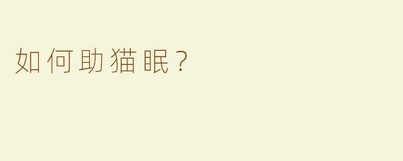 如何助猫眠？