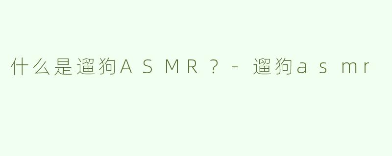 什么是遛狗ASMR？
