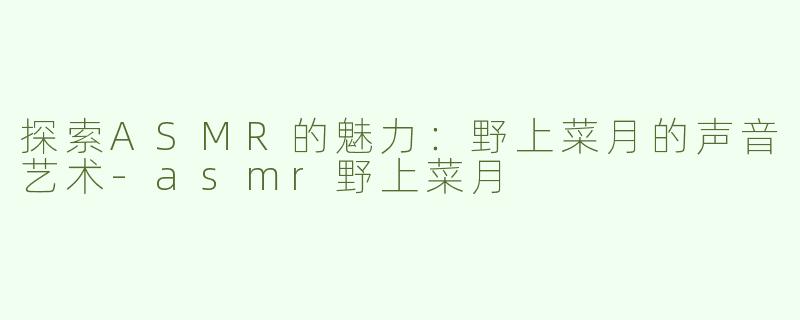 探索ASMR的魅力：野上菜月的声音艺术-asmr野上菜月