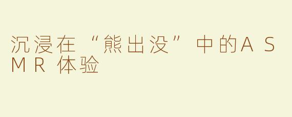沉浸在“熊出没”中的ASMR体验
