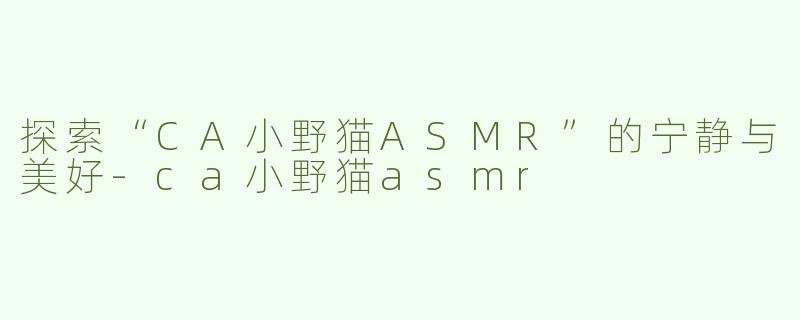 探索“CA小野猫ASMR”的宁静与美好-ca小野猫asmr