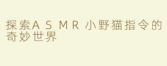 探索ASMR小野猫指令的奇妙世界