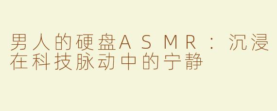 男人的硬盘ASMR：沉浸在科技脉动中的宁静