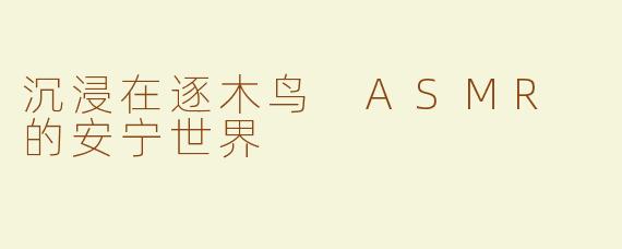 沉浸在逐木鸟 ASMR 的安宁世界
