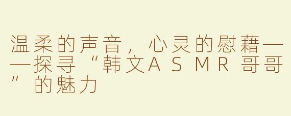 温柔的声音，心灵的慰藉——探寻“韩文ASMR哥哥”的魅力