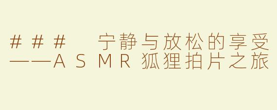 ### 宁静与放松的享受——ASMR狐狸拍片之旅