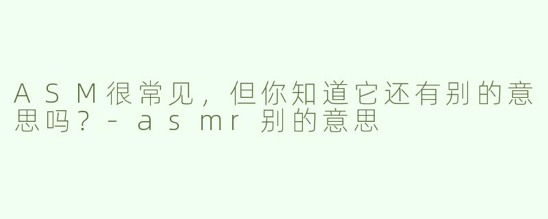 ASM很常见，但你知道它还有别的意思吗？