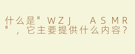 什么是"WZJ ASMR"，它主要提供什么内容？