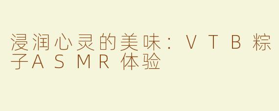 浸润心灵的美味：VTB粽子ASMR体验