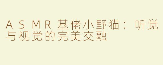 ASMR基佬小野猫：听觉与视觉的完美交融