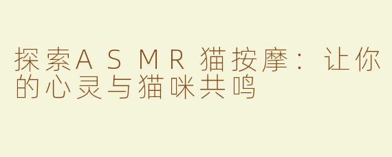 探索ASMR猫按摩：让你的心灵与猫咪共鸣