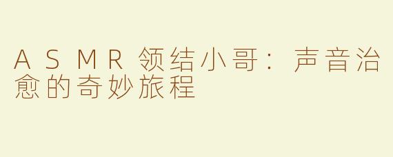 ASMR领结小哥：声音治愈的奇妙旅程