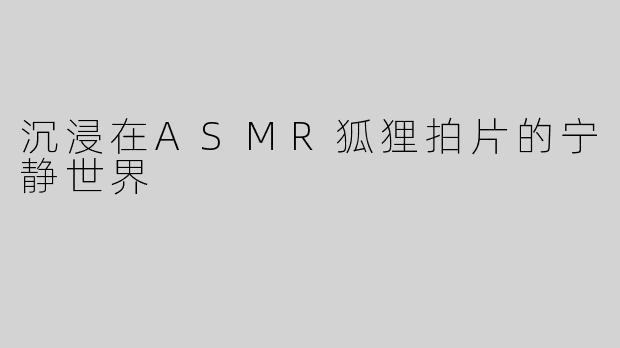 沉浸在ASMR狐狸拍片的宁静世界