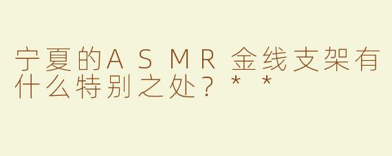 宁夏的ASMR金线支架有什么特别之处？**