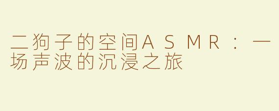 二狗子的空间ASMR：一场声波的沉浸之旅