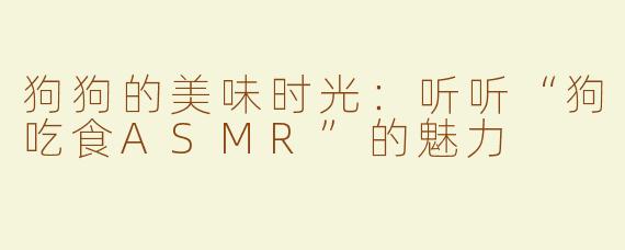 狗狗的美味时光：听听“狗吃食ASMR”的魅力
