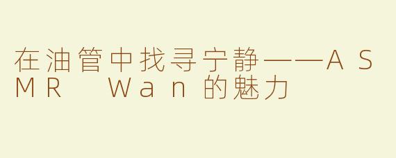 在油管中找寻宁静——ASMR Wan的魅力