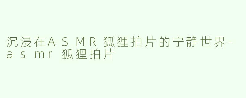 沉浸在ASMR狐狸拍片的宁静世界