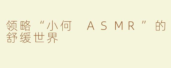 领略“小何 ASMR”的舒缓世界