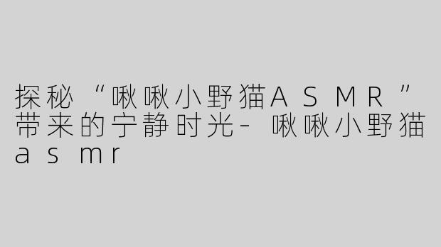 探秘“啾啾小野猫ASMR”带来的宁静时光-啾啾小野猫asmr