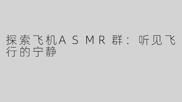 探索飞机ASMR群：听见飞行的宁静
