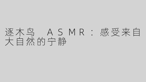 逐木鸟 ASMR：感受来自大自然的宁静