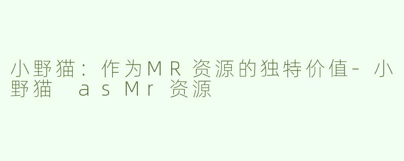 小野猫：作为MR资源的独特价值-小野猫 asMr资源