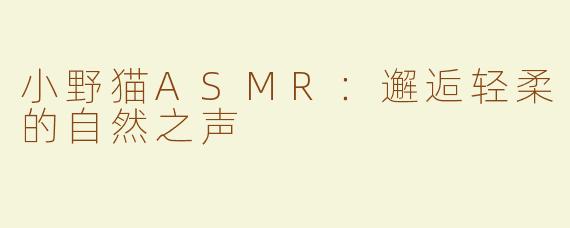 小野猫ASMR：邂逅轻柔的自然之声