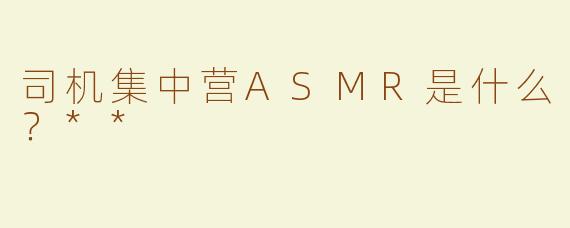 司机集中营ASMR是什么？**