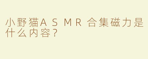 小野猫ASMR合集磁力是什么内容？  