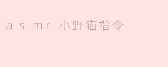 asmr小野猫指令