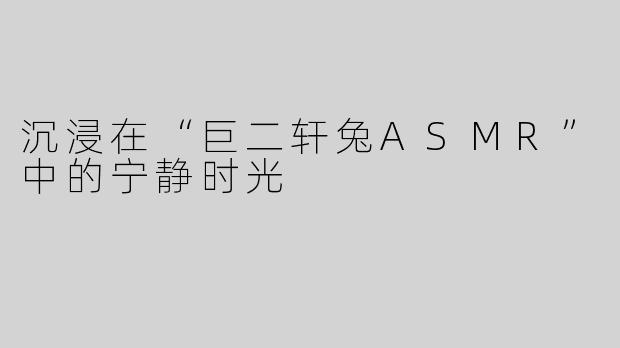 沉浸在“巨二轩兔ASMR”中的宁静时光