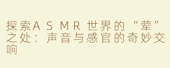 探索ASMR世界的“荤”之处：声音与感官的奇妙交响