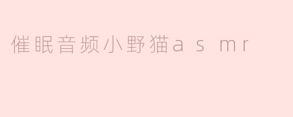 催眠音频小野猫asmr