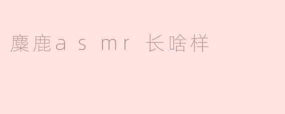 麋鹿asmr长啥样