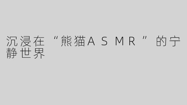 沉浸在“熊猫ASMR”的宁静世界