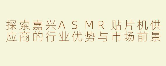探索嘉兴ASMR贴片机供应商的行业优势与市场前景