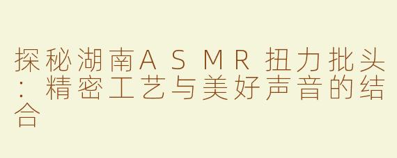 探秘湖南ASMR扭力批头：精密工艺与美好声音的结合