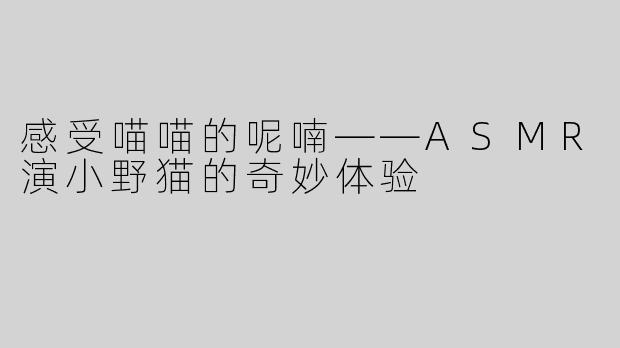 感受喵喵的呢喃——ASMR演小野猫的奇妙体验
